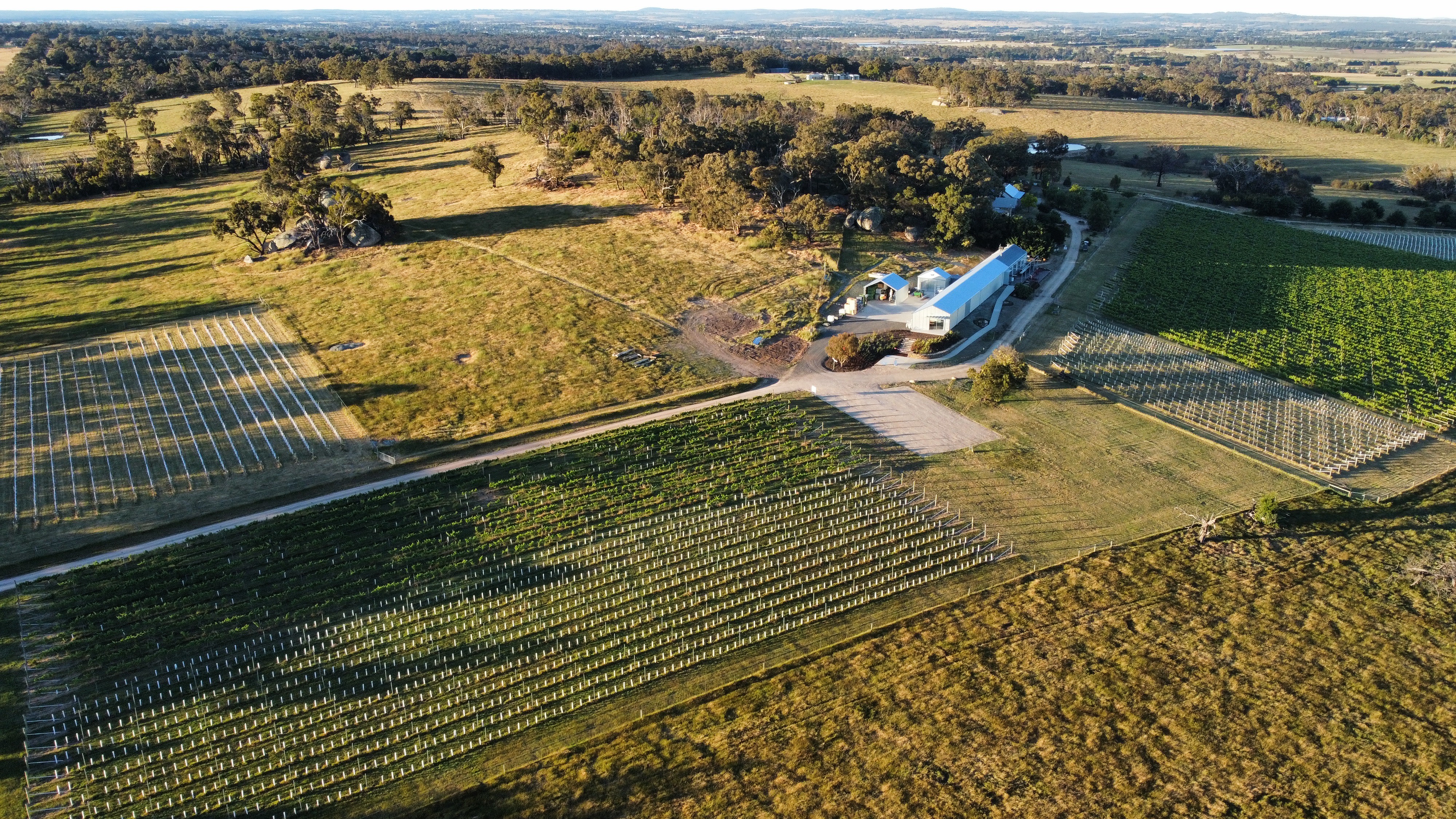 Aerial view of Kyneton Ridge vineyards 